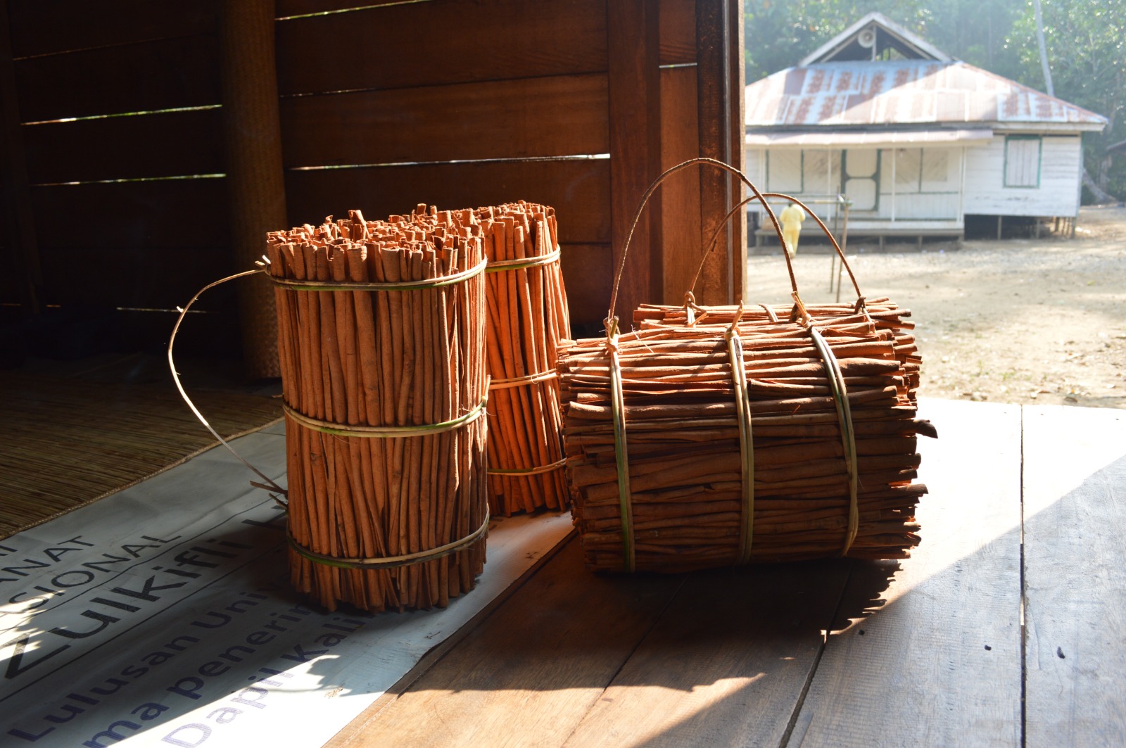 KAYU MANIS